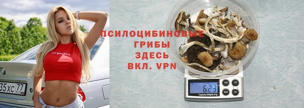 мет Каменка