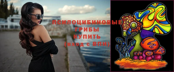 ГАЛЛЮЦИНОГЕННЫЕ ГРИБЫ Кинешма