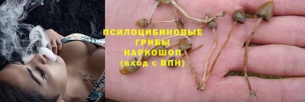 мет Каменка