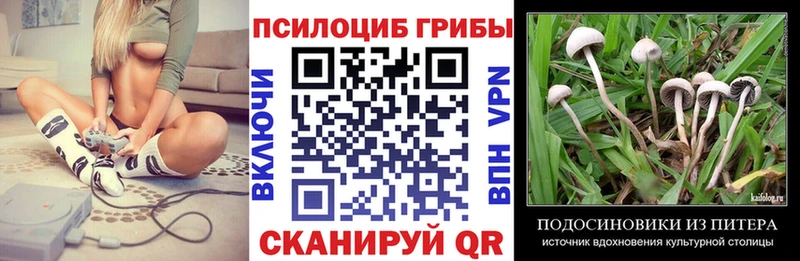 Галлюциногенные грибы MAGIC MUSHROOMS  Катав-Ивановск 